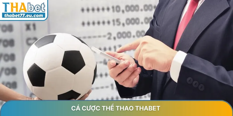 Cá cược thể thao THABET – Khám phá sảnh cược đỉnh cao 2026