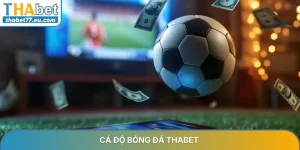 Cá độ bóng đá THABET - Sân chơi đỉnh cao cho người hâm mộ 2026