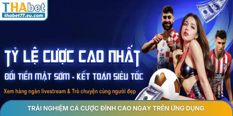 Trải nghiệm cá cược Thabet đỉnh cao ngay trên ứng dụng