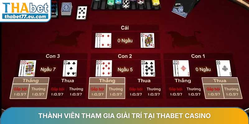 Thành viên tham gia giải trí tại Thabet Casino