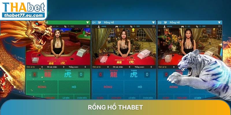 Chinh phục rồng hổ THABET với chiến thuật đỉnh cao từ cao thủ